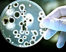 細胞實驗室建設 細胞實驗室建設