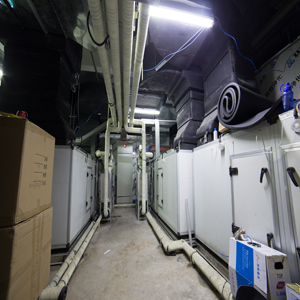 _MG_0091.jpg _MG_0091.jpg