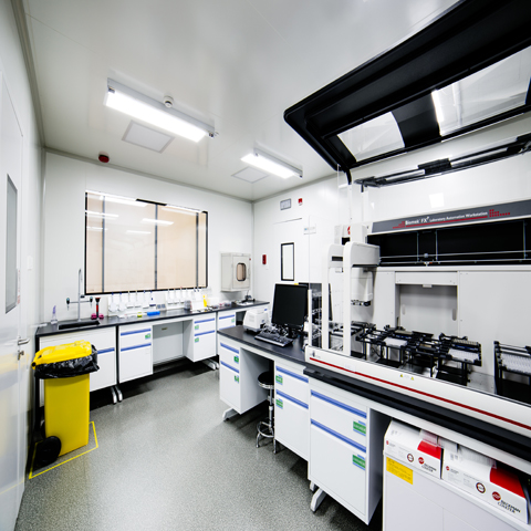 _MG_0036.jpg _MG_0036.jpg